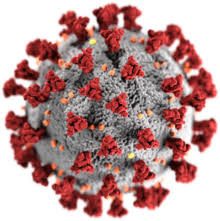 Coronavirus imágen wikipedia